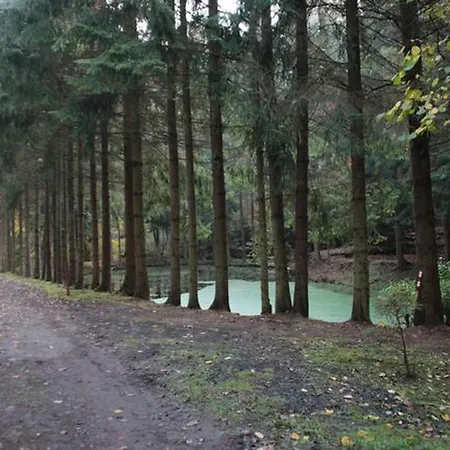 Seepark Bei Viola Mit Sauna