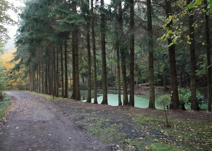 Seepark Bei Viola Mit Sauna