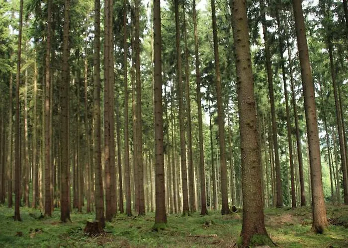 Seepark Bei Viola Mit Sauna Casa vacanze *